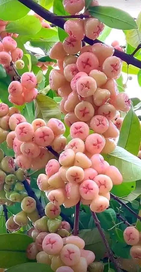 পোস্ট ৩
